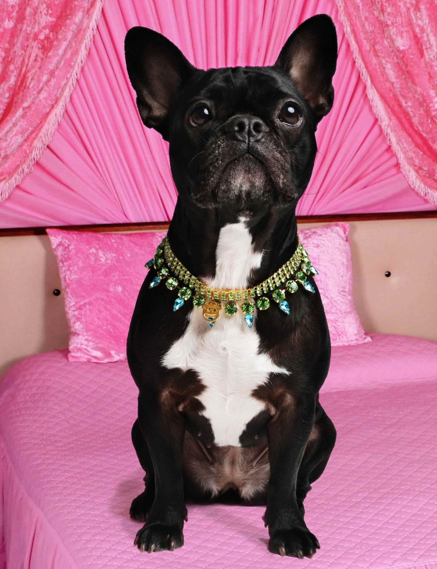 The Beverly Hillbilly Choker