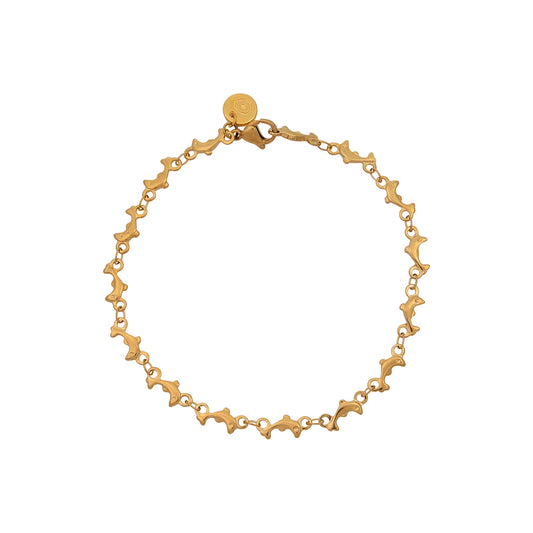 Delfina Anklet